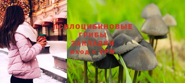 герыч Новодвинск